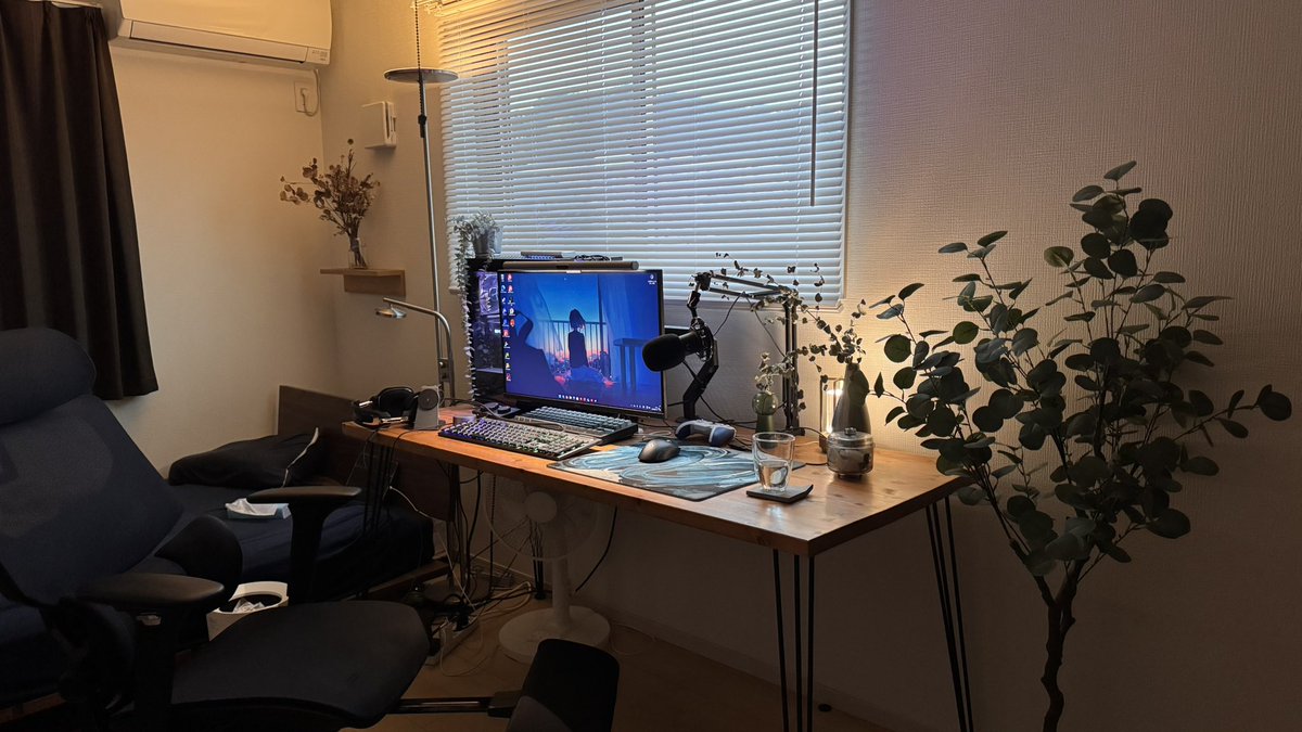 HAKU8 - Mr.PEANUTS tweet media