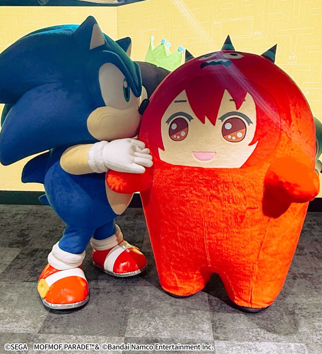 mofmof_parade's tweet photo. ⌒⌒⌒⌒⌒⌒⌒⌒⌒⌒⌒⌒⌒⌒⌒⌒

ソニック🦔はじめまして！

︶︶︶︶︶︶︶︶︶︶︶︶︶︶︶︶

パックマンのお誕生日会で新しい仲間を発見👀✨✨

さすがは史上最速のハリネズミ💨
とっても足がはやくて・・・

侵略前に確保されちゃった・・・

#ソニック　#モフパレ
#実はスリーショット https://t.co/F4W6Y1S3dj