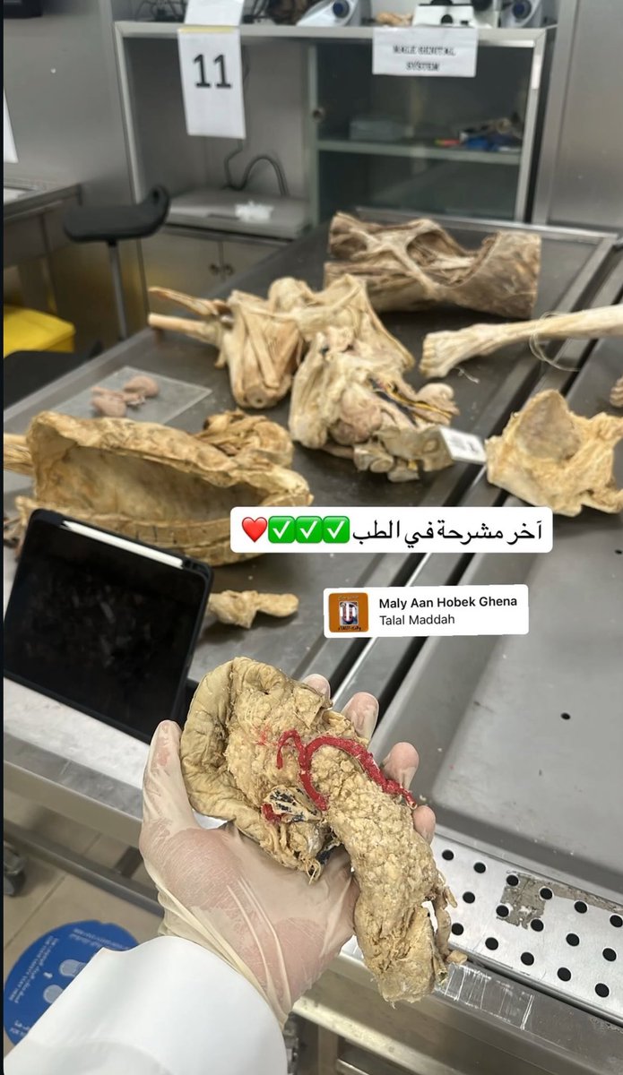 Abdulrahim🧑‍⚕️🩺🫀 tweet media