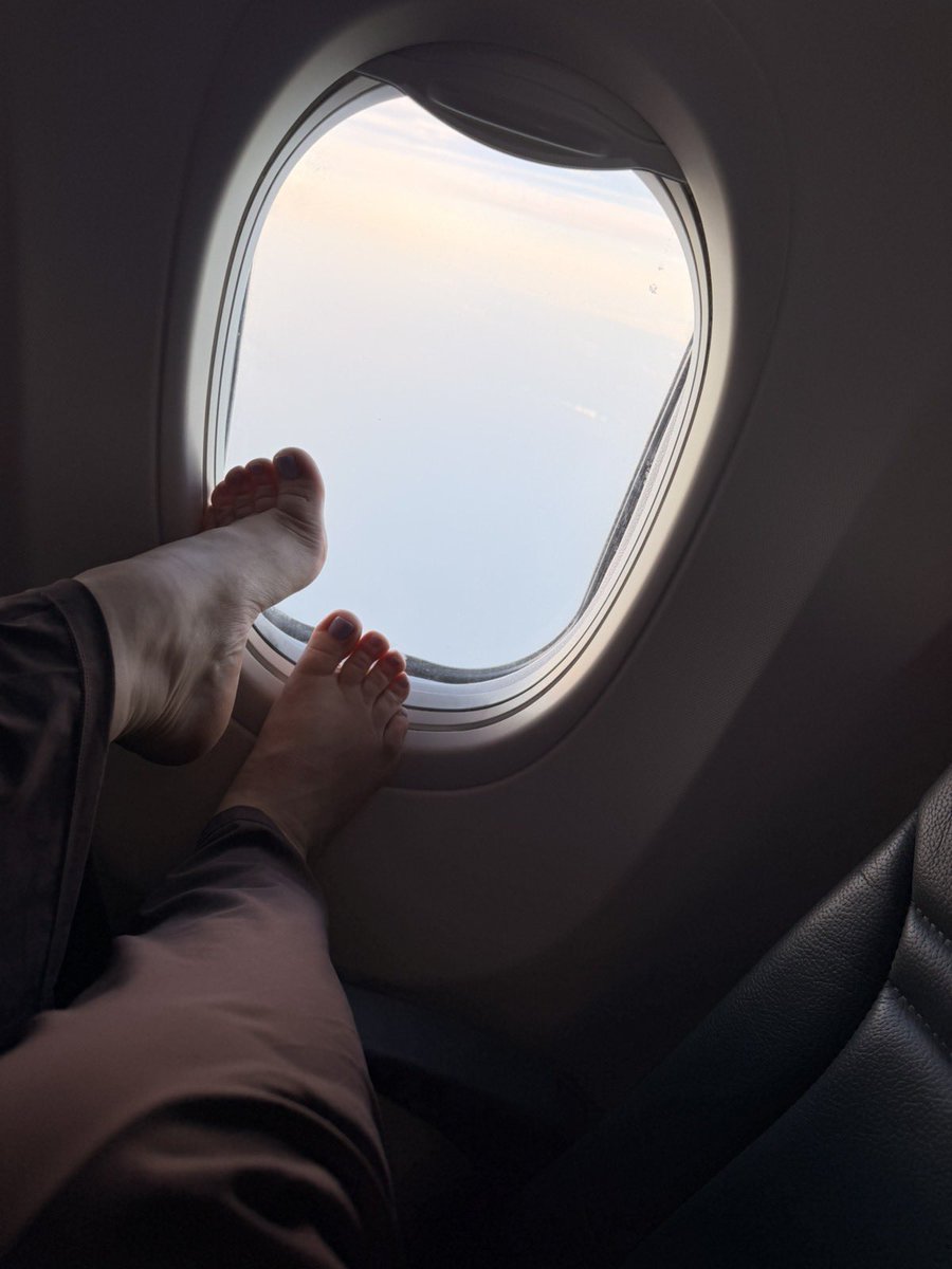 DivineArchM's tweet photo. Mile high foot tease at 30,000 feet ✈️💜  

These purple toes just spent hours in heels and now they’re finally free… resting against the window while we fly back to Mallorca.  

Imagine being in the seat next to me- staring, desperate, knowing you can’t touch.  

Would you drop to your knees in the aisle and worship them right here? Or would you wait until we land so you can clean every inch with your tongue?  

Tell me exactly what you’d do for these plane feet 👅  
First $15 tribute in bio gets priority attention + personal voice note from 10,000 meters up 😈  

#FootFetish #Findom #Femdom #MileHighClub #SweatyFeet #SoleWorship #PurpleToes #TravelTease #Paypig #GoddessFeet #TeaseAndDenial #FootSlave #MallorcaGoddess

@rt_feet @findompromox @FeetFinder @PiggyPayouts @rt_domm @HSoless @rtsubbi @promocucky