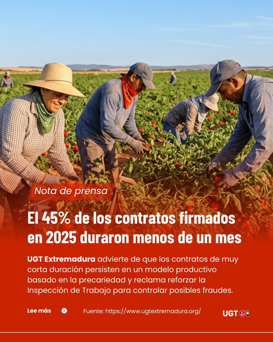 UGTExtremadura's tweet photo. El 45% de los contratos firmados en Extremadura en 2025 duró menos de un mes
📌 El 74% son temporales 
📌 Extremadura tiene la mayor tasa de temporalidad de España
Exigimos reforzar la Inspección de Trabajo
Léelo aquí 👉 https://t.co/f49EWaCp0Q

✊Defiende empleo digno y estable. https://t.co/XWgLZ73E1N