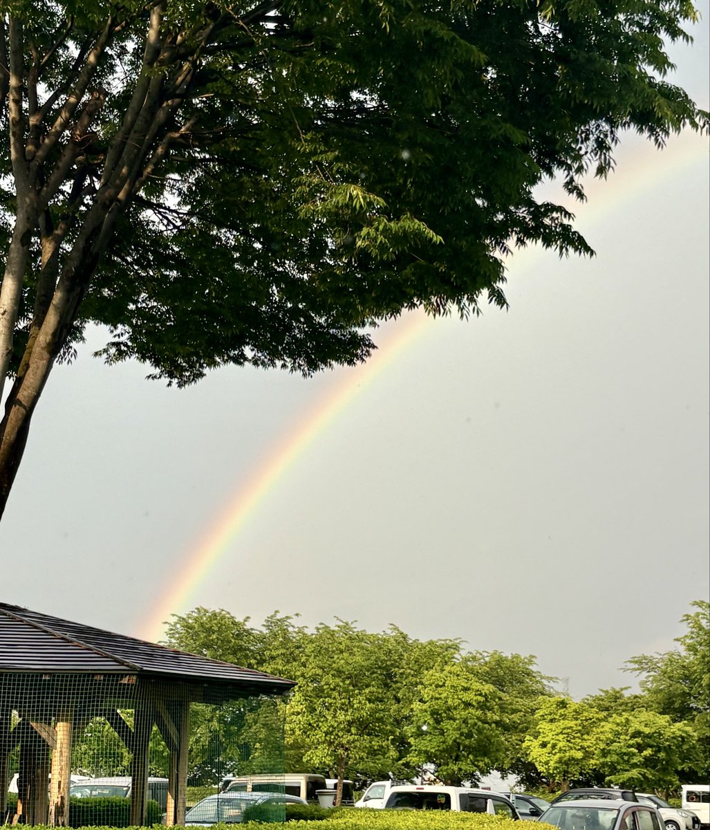 shintoshakyo's tweet photo. 虹だ🌈
キレイ😍 https://t.co/y8iXJsnpns