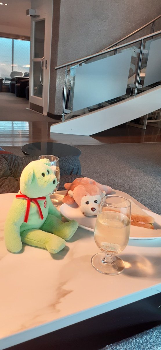 Maisie Monkey tweet media