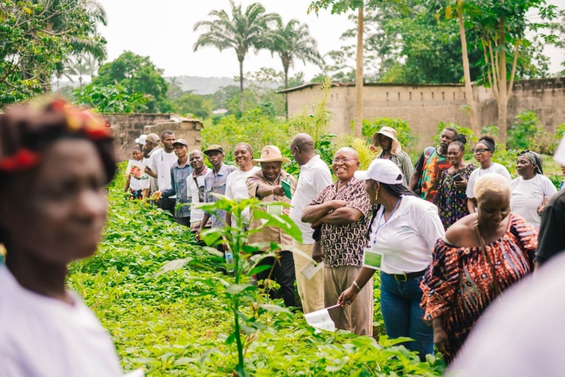 #Technologies to #FeedAfrica tweet media