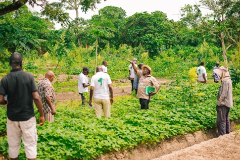 #Technologies to #FeedAfrica tweet media