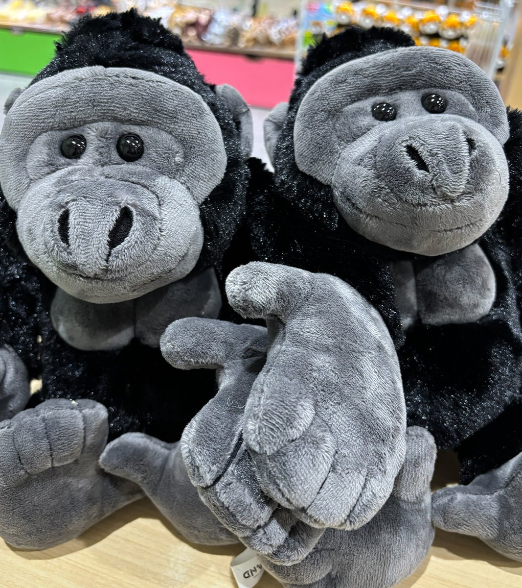 GORILLANDshop's tweet photo. 当店自慢のリアルニシゴリラのぬいぐるみ🦍
手にマジックテープが付いてるので、並べると仲良く手をつないでくれます❤ https://t.co/DkhecLYA4U