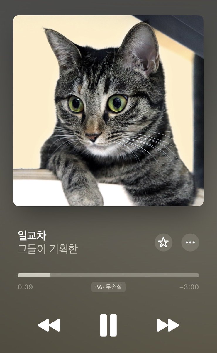 제이 tweet media