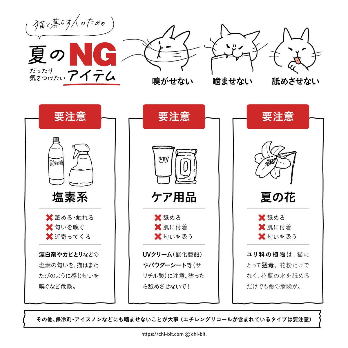 TRNK / ちびっと tweet media