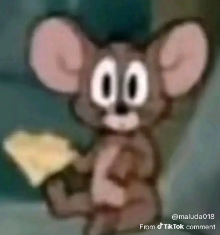 Siam tweet media