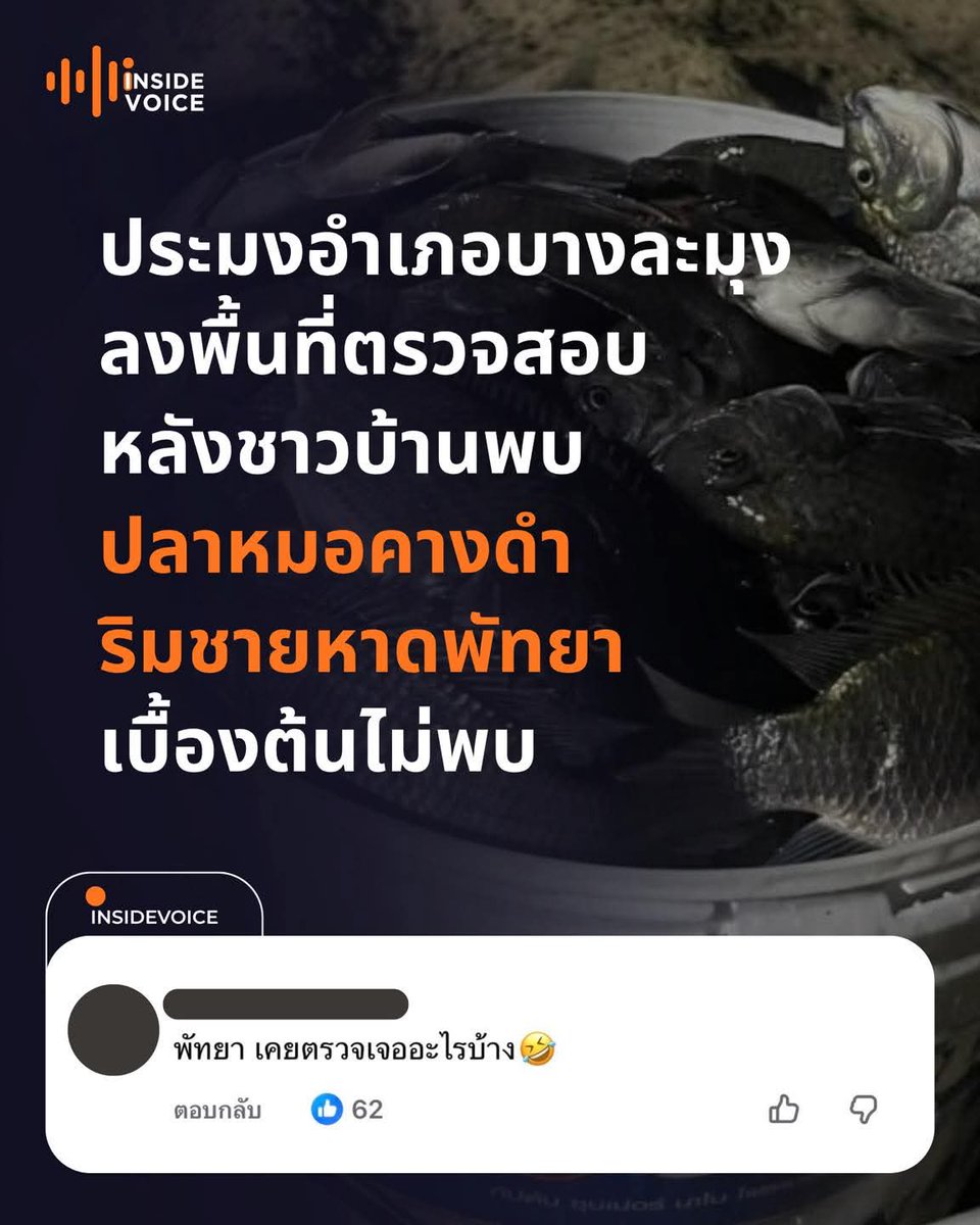 ฮ.นกฮูก(สีส้ม) tweet media