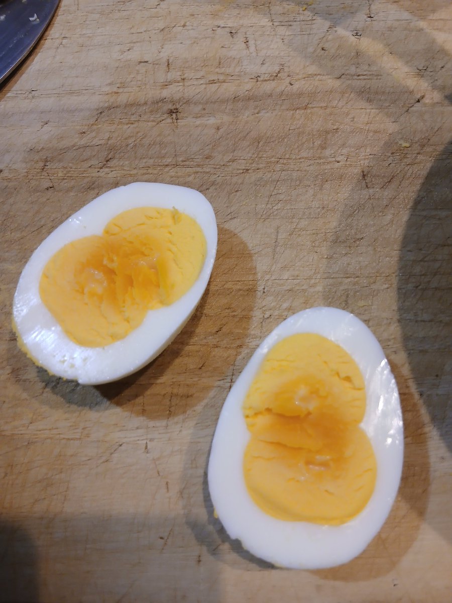 たまご様 Post by なみの 7y6y+14w🥚2026.11 on X: ふたごたまごだ！