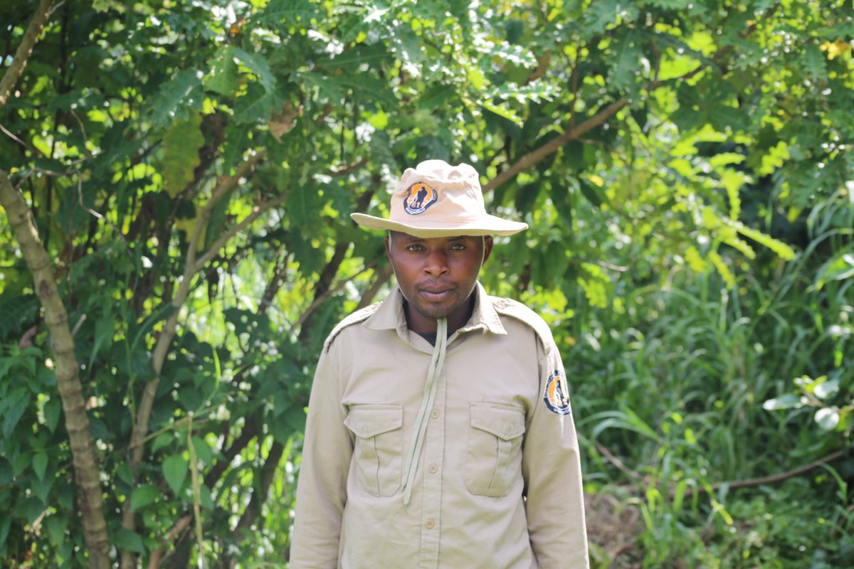 Virunga National Park tweet media