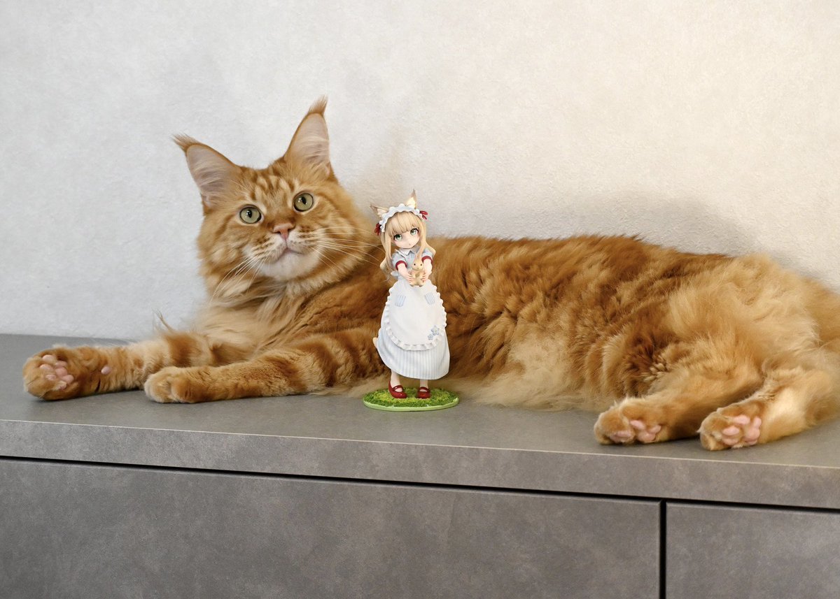 しま原🐈 tweet media