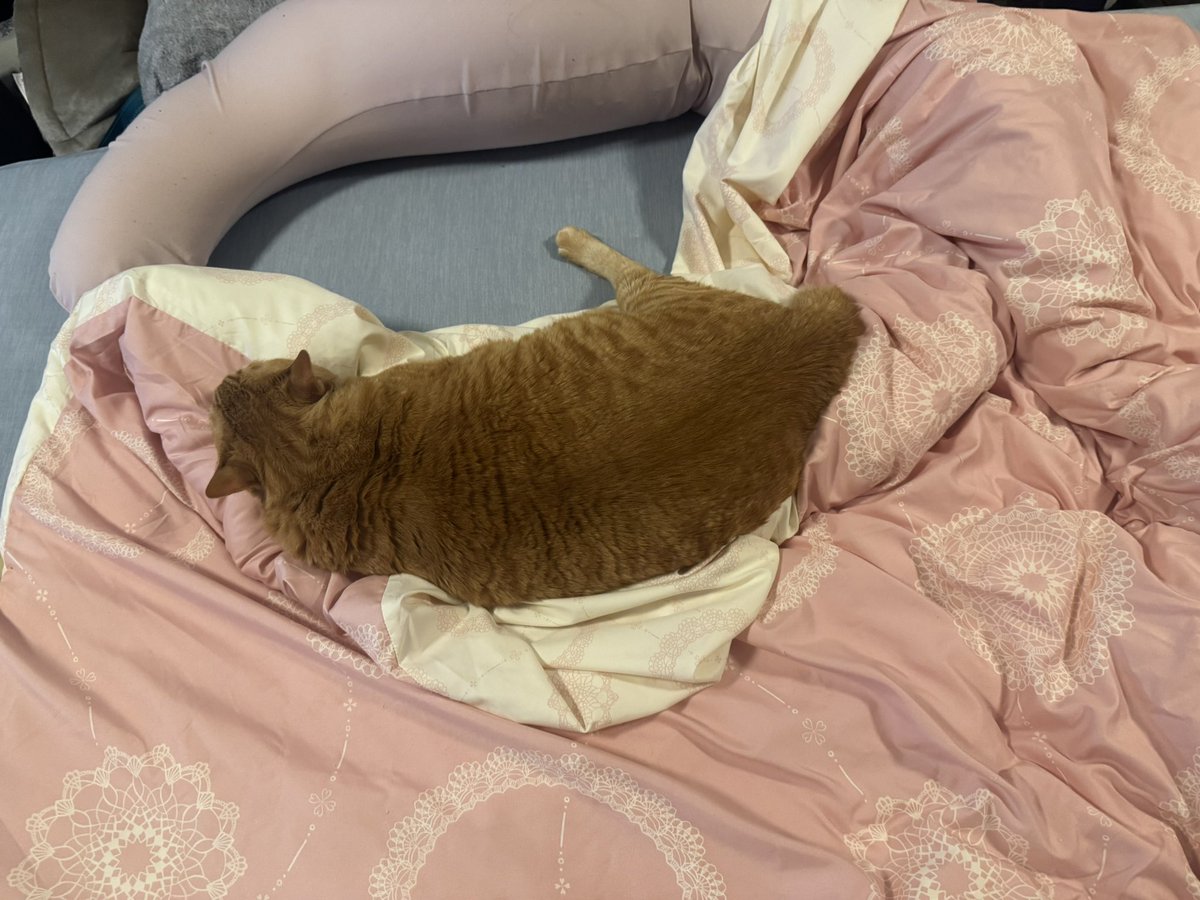 絶妙な場所で寝てる…