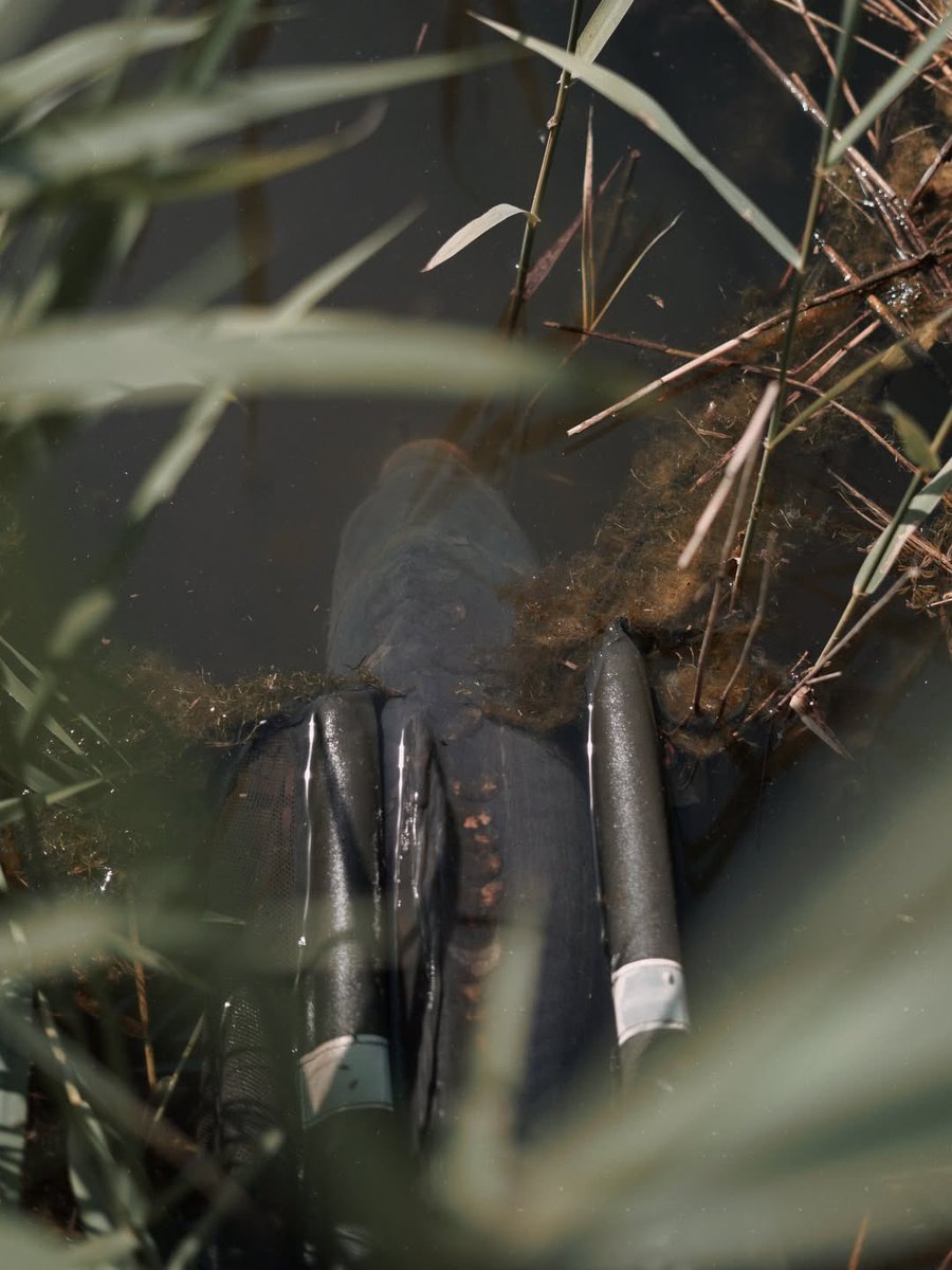 Vass Waders & Rainwear tweet media