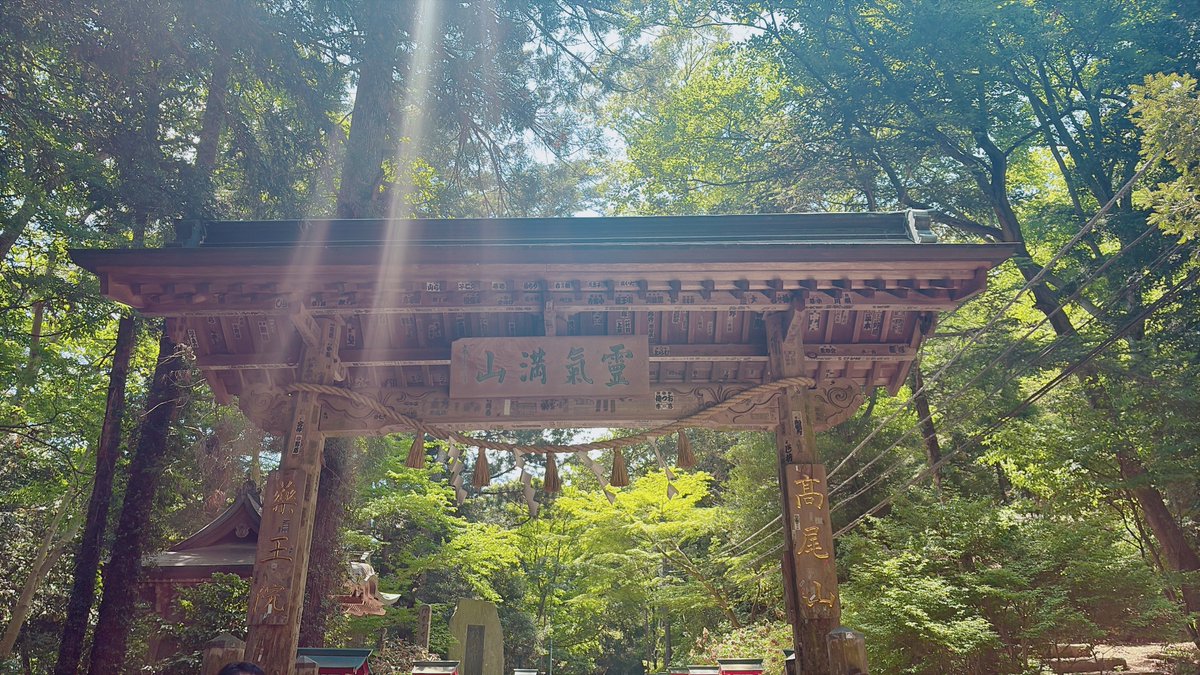 まりあ tweet media