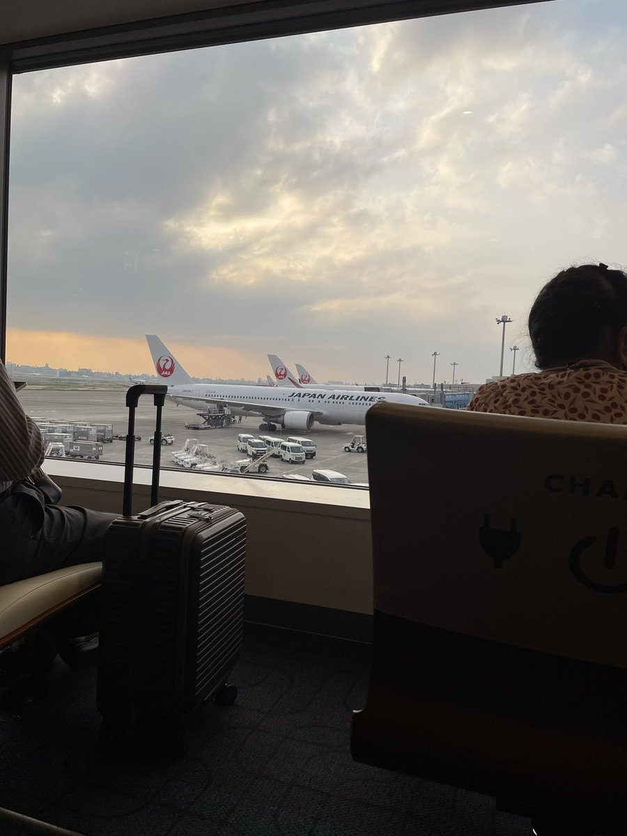 あごぱん (@AGOPANDA) / Posts / X