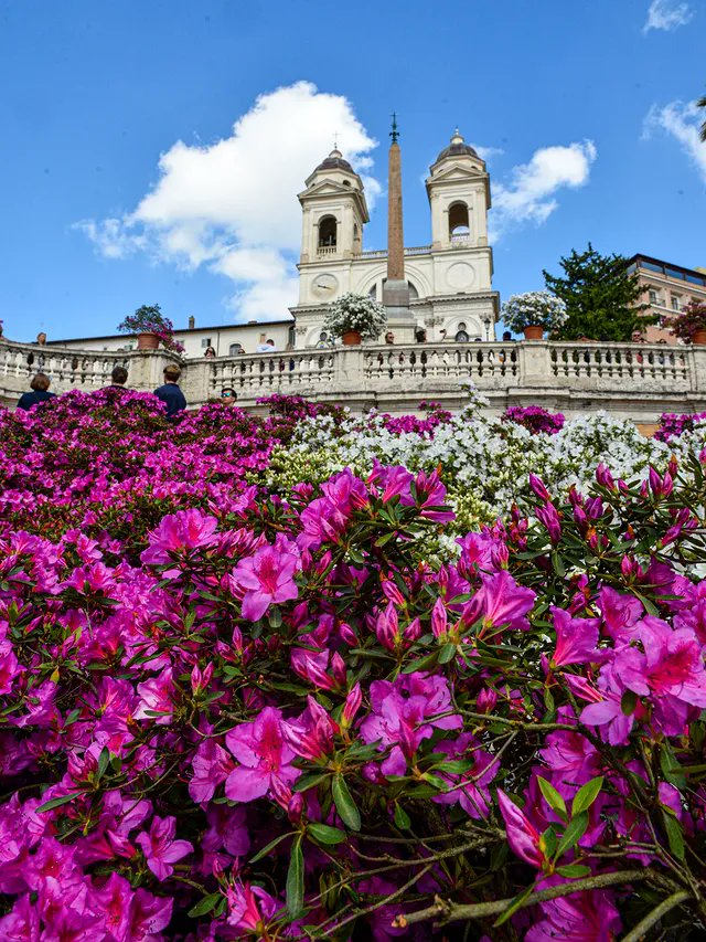 Turismo Roma tweet media