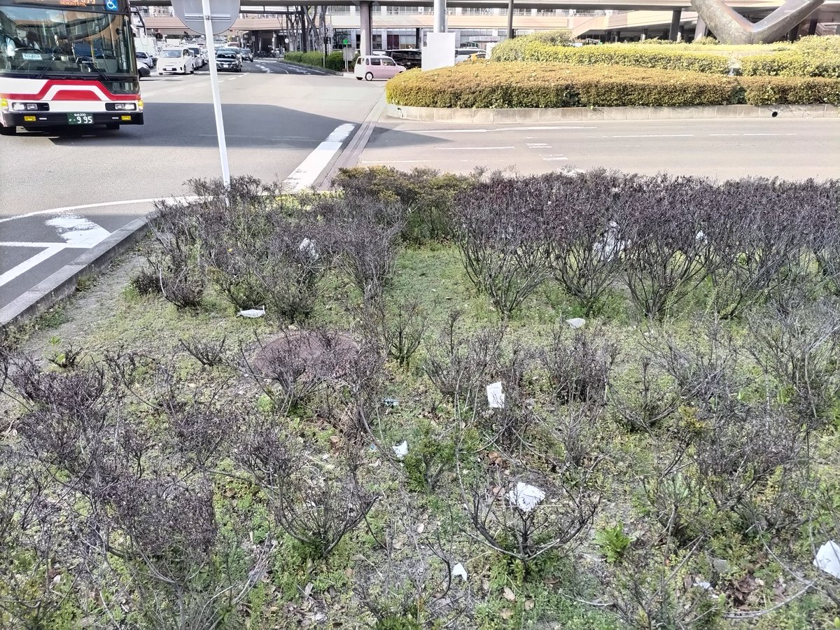 吉田ごう（仙台市議会議員・若林区選出） tweet media