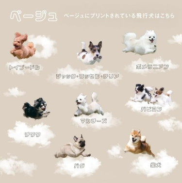 あき🧺🫧 tweet media