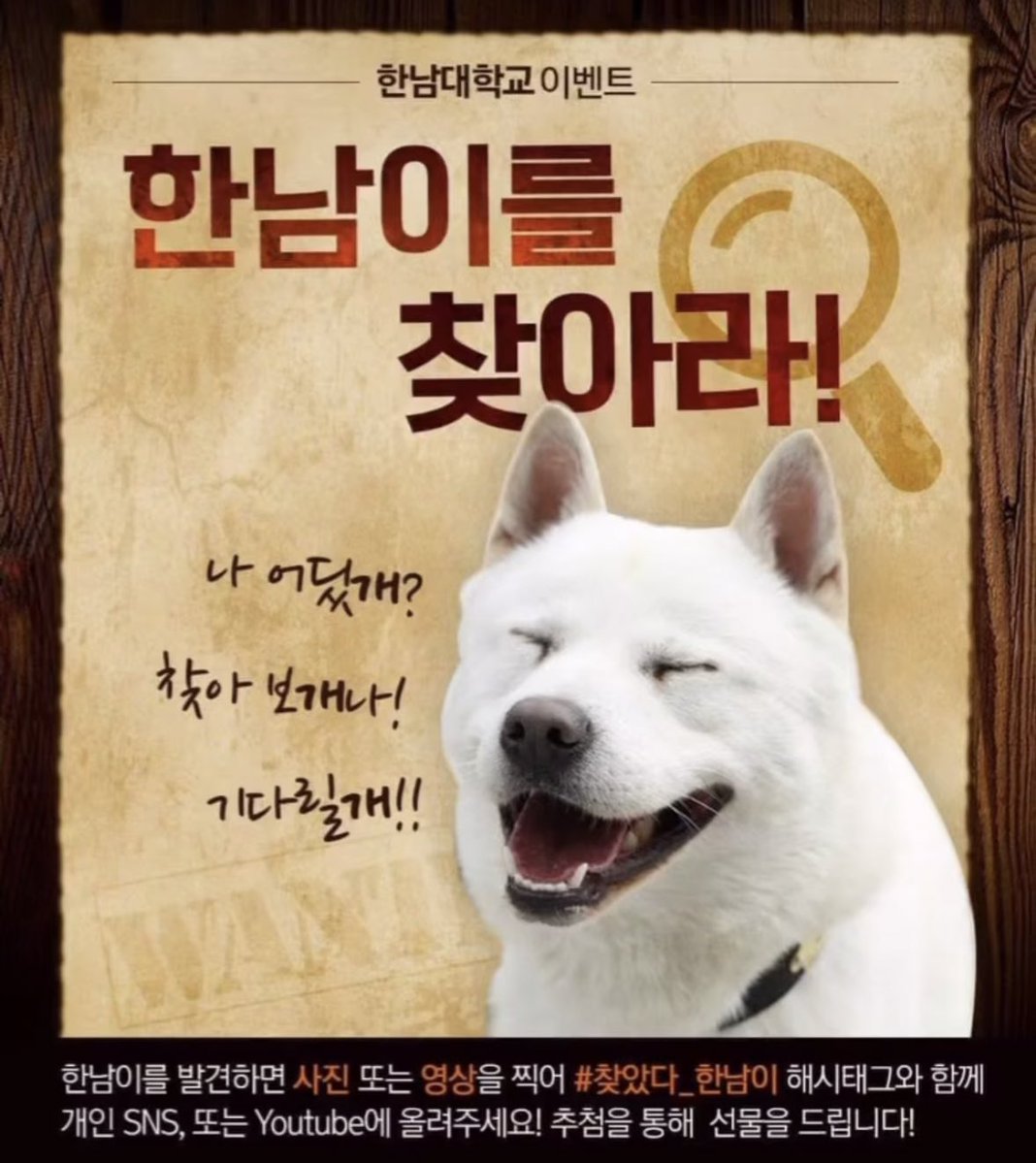 캄 tweet media