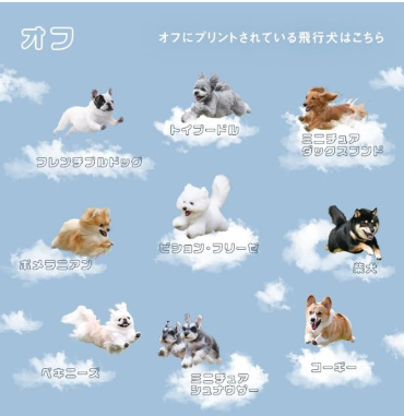 あき🧺🫧 tweet media