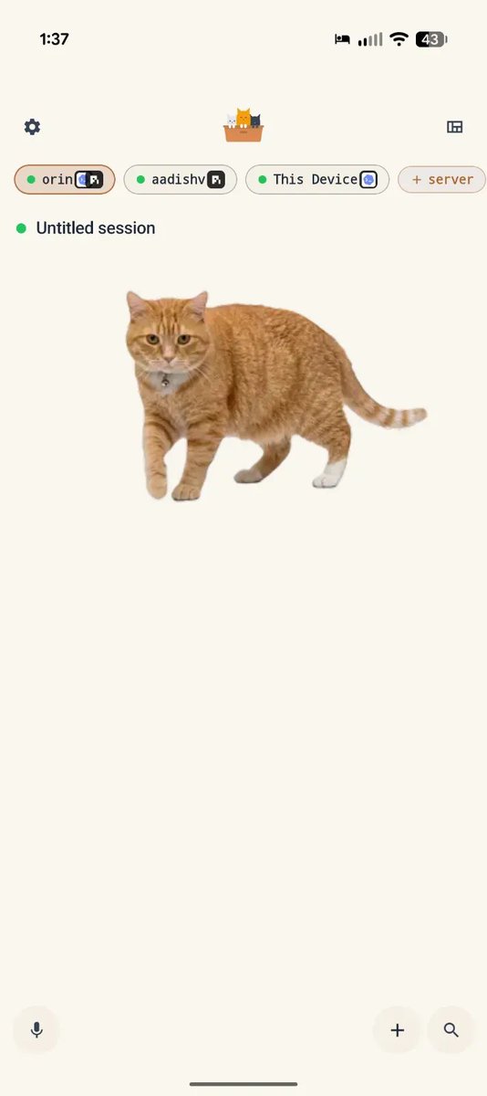 aadishvdotdev's tweet photo. its not even been a day and i am already addicted. the cat is the cherry on top https://t.co/vfaCqm3q1p