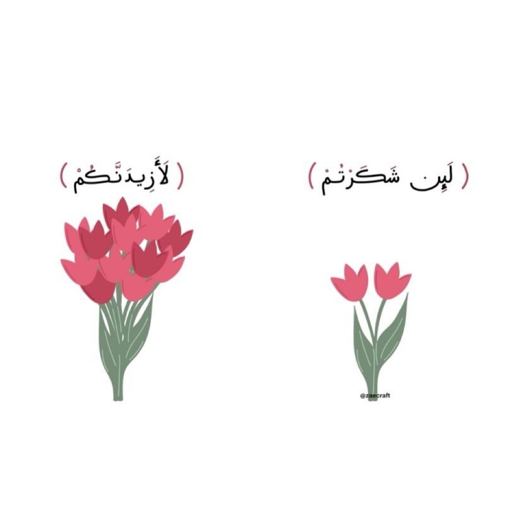 داليا🇸🇦💙🤍 tweet media