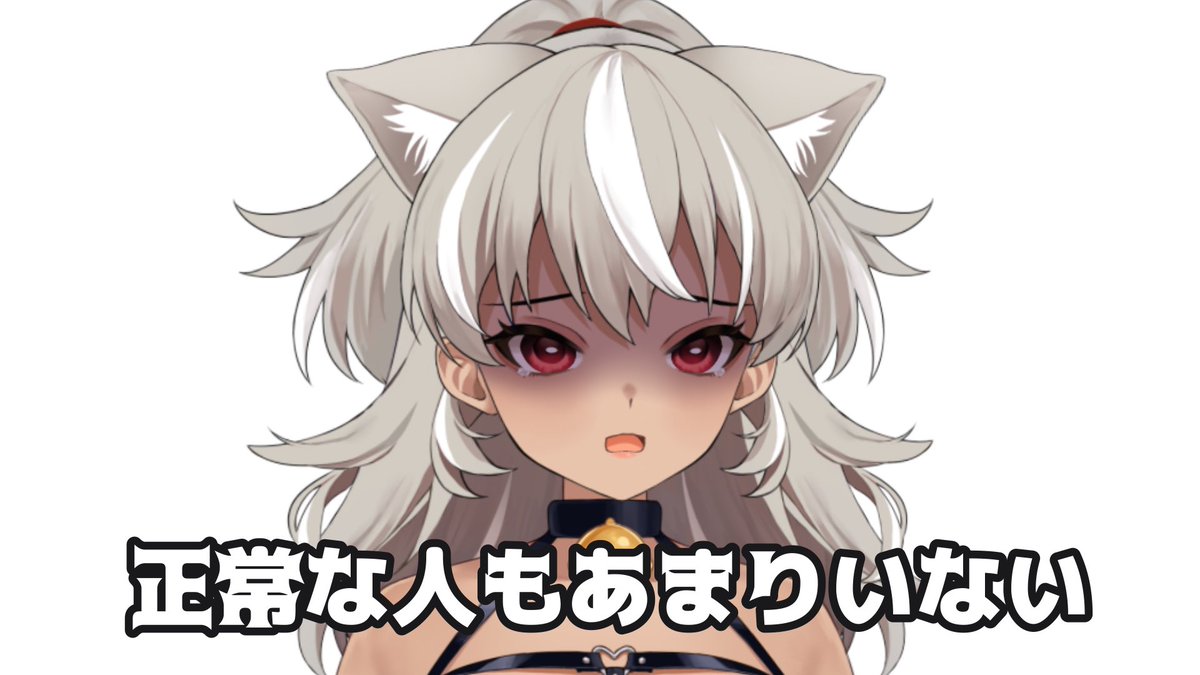 灰音シャル🤎🐈‍⬛クラファン実施中！100%達成ありがとう！ tweet media