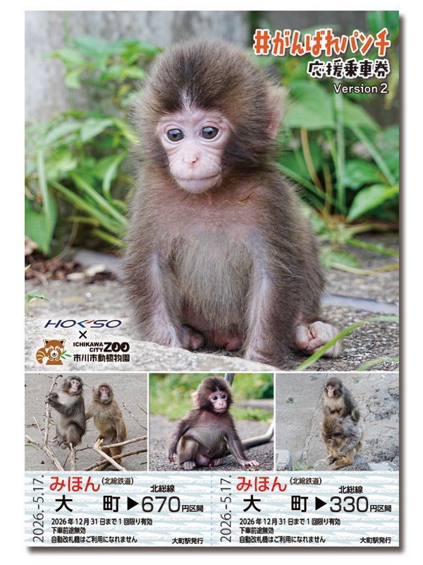はとマルシェ Online【公式】 tweet media