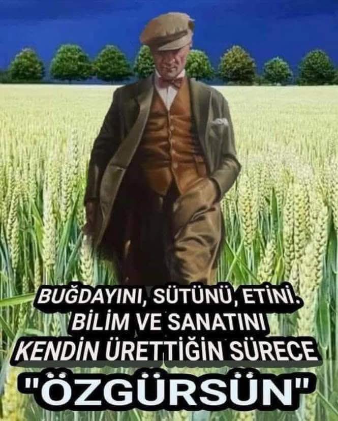 Türkan tweet media
