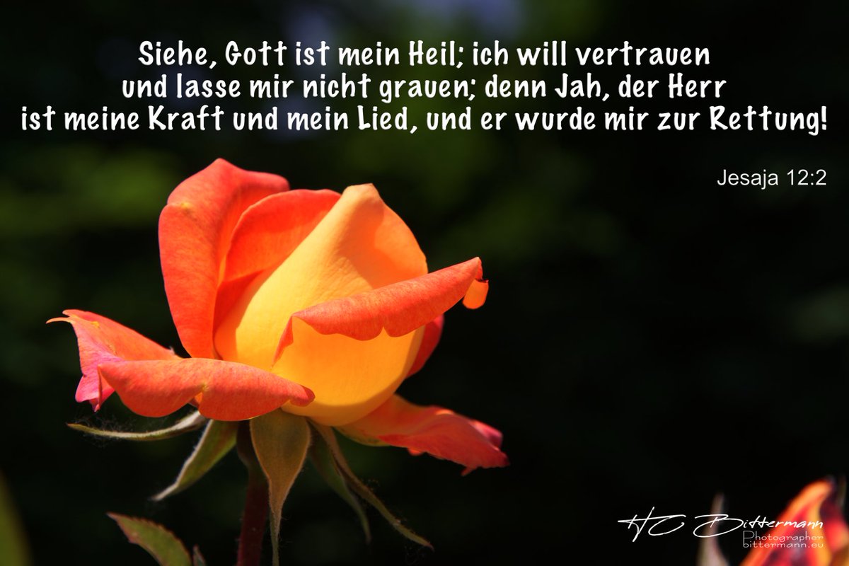hcbit's tweet photo. 👉🏼 Dies ist der Tag, den der #Herr gemacht hat; wir wollen uns freuen und fröhlich sein in ihm! 👈🏼
(#Psalm 118:24)

Ich wünsche ALLEN einen gesegneten Tag. 
Kommt mit #Gott, gut und gesund, durch diesen Tag!

Heute mit: Jesaja 12:2

#botschafterdesherrn #bibelvers https://t.co/kAtI5cFKhj