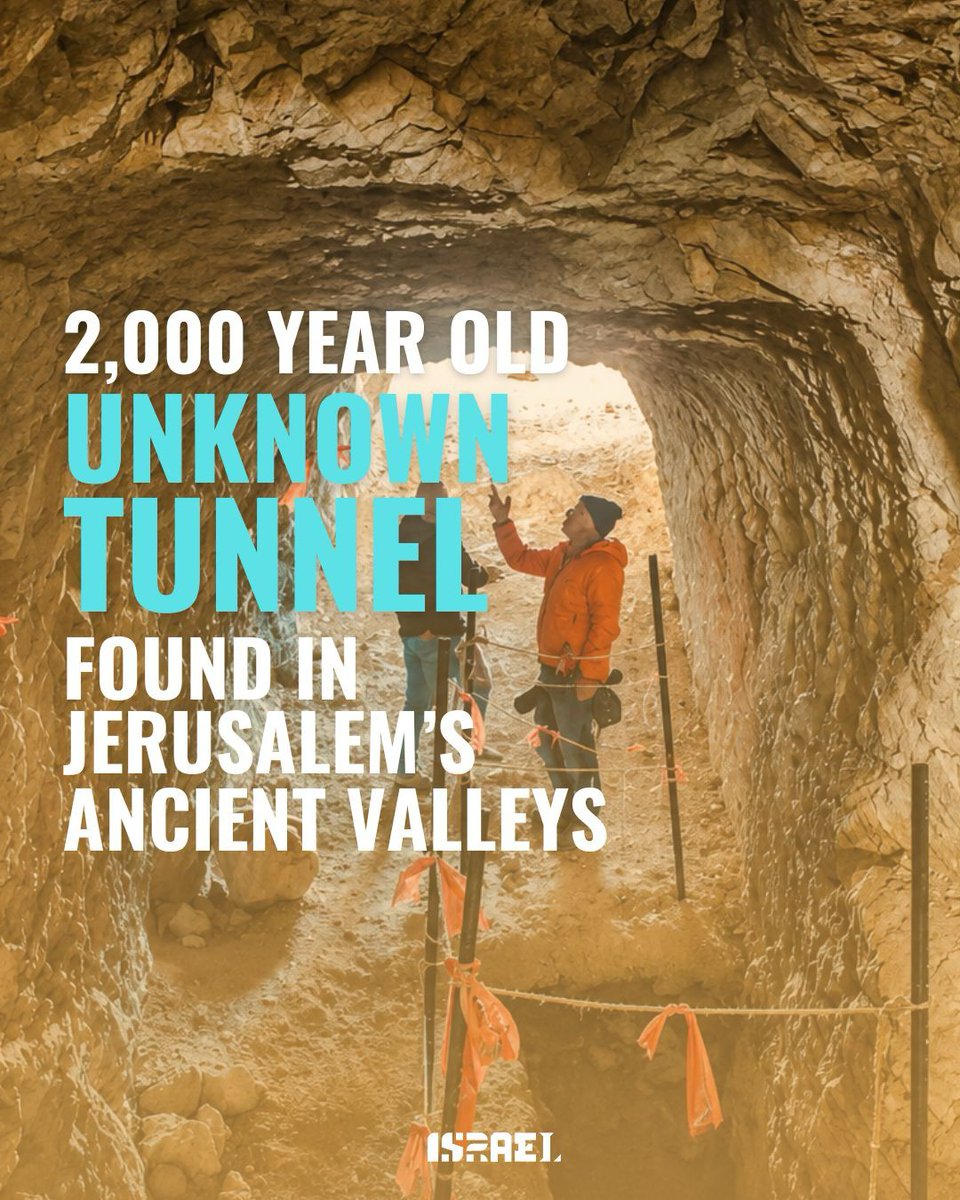 Israel ישראל tweet media