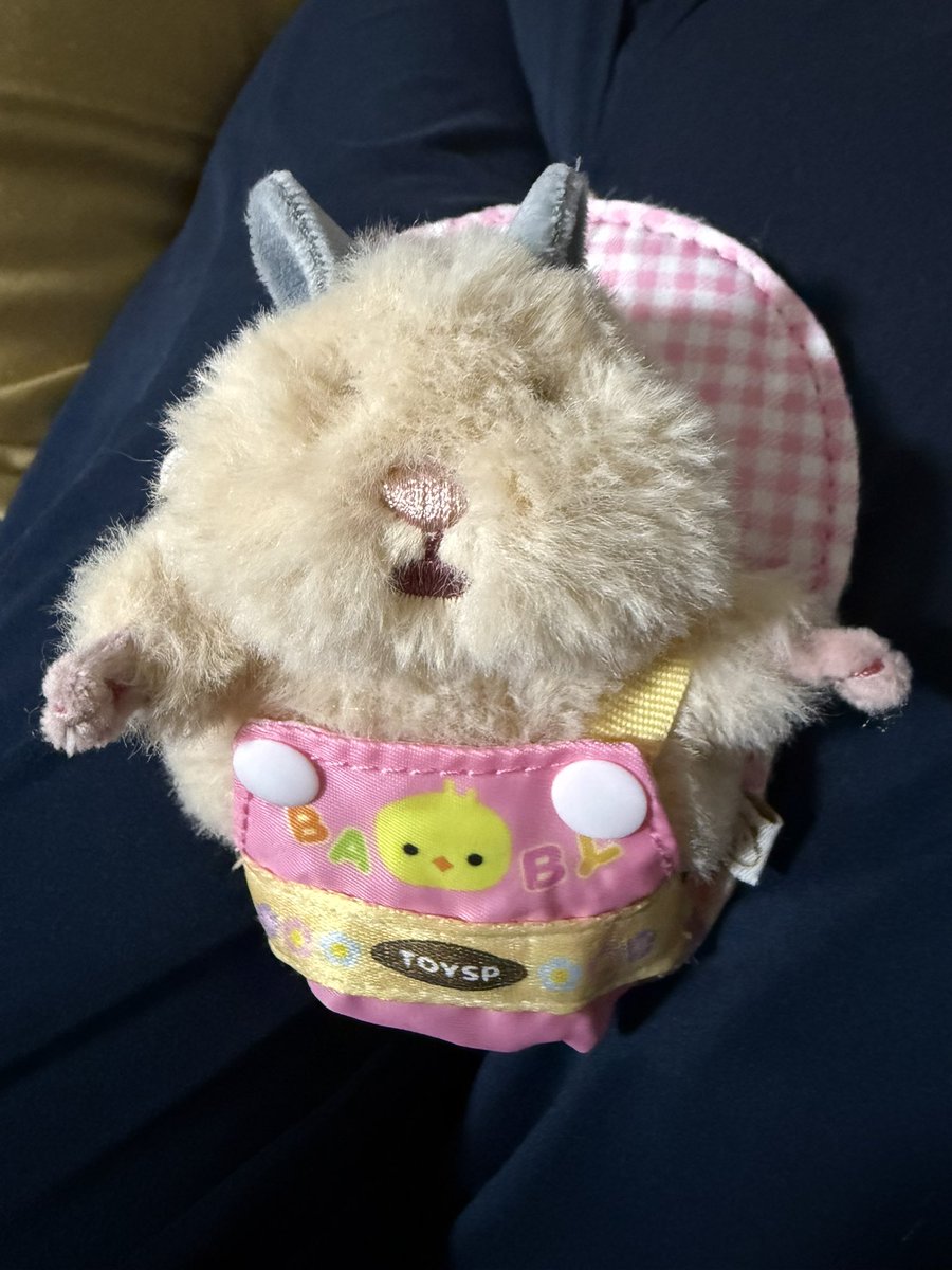 kuma◡̈♥︎ tweet media