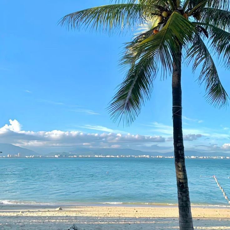 yunadeficit's tweet photo. ⠀ ⠀ ⠀ ⠀

⠀              ꩜     ۫     days to costa rica   ꒱ྀ
⠀            # edtwt    🍹   ݁  𓈒   thread     𝜗𝜚

⠀ ⠀ ⠀ ⠀ ⠀ https://t.co/N5Es1mQk2A