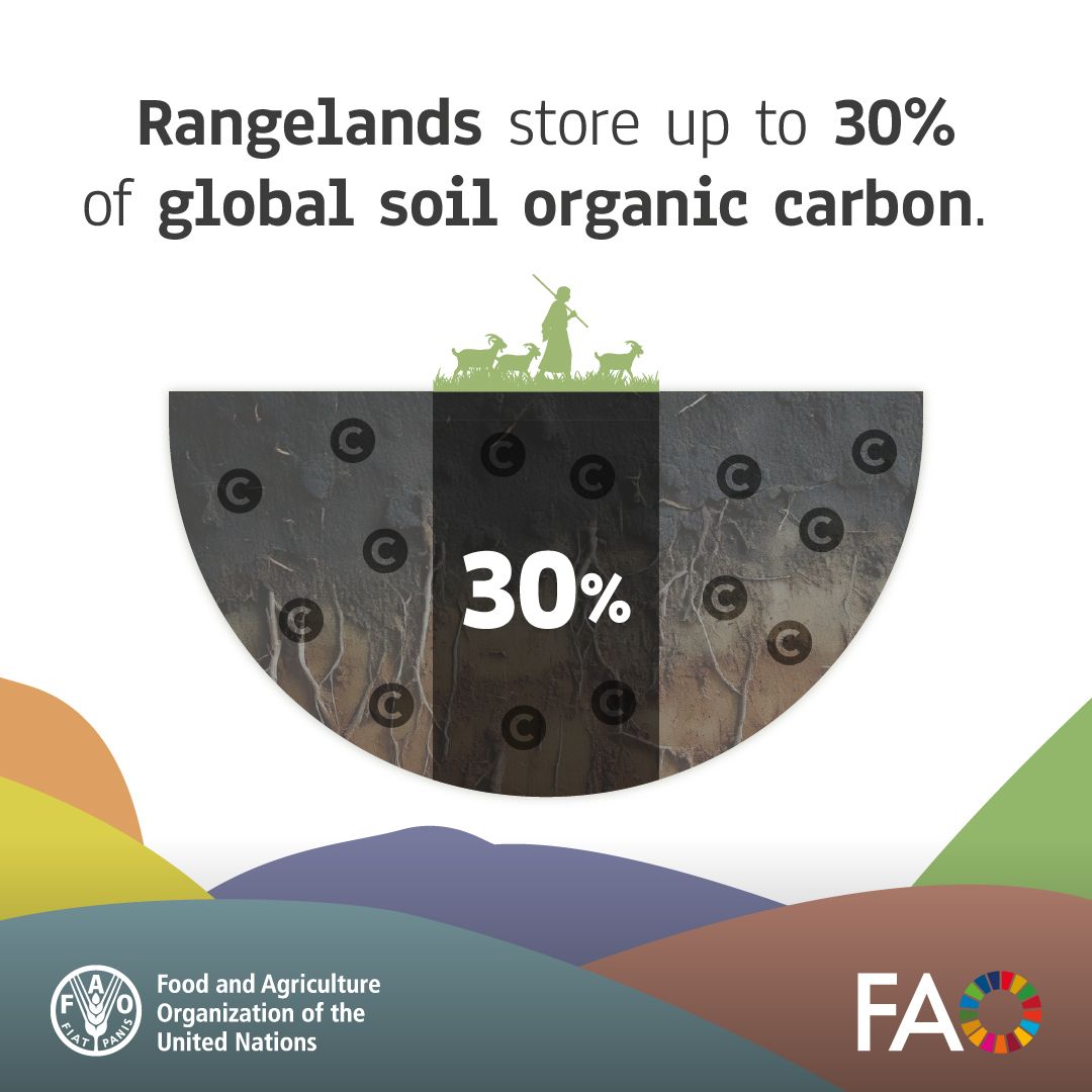 Food and Agriculture Organization tweet media