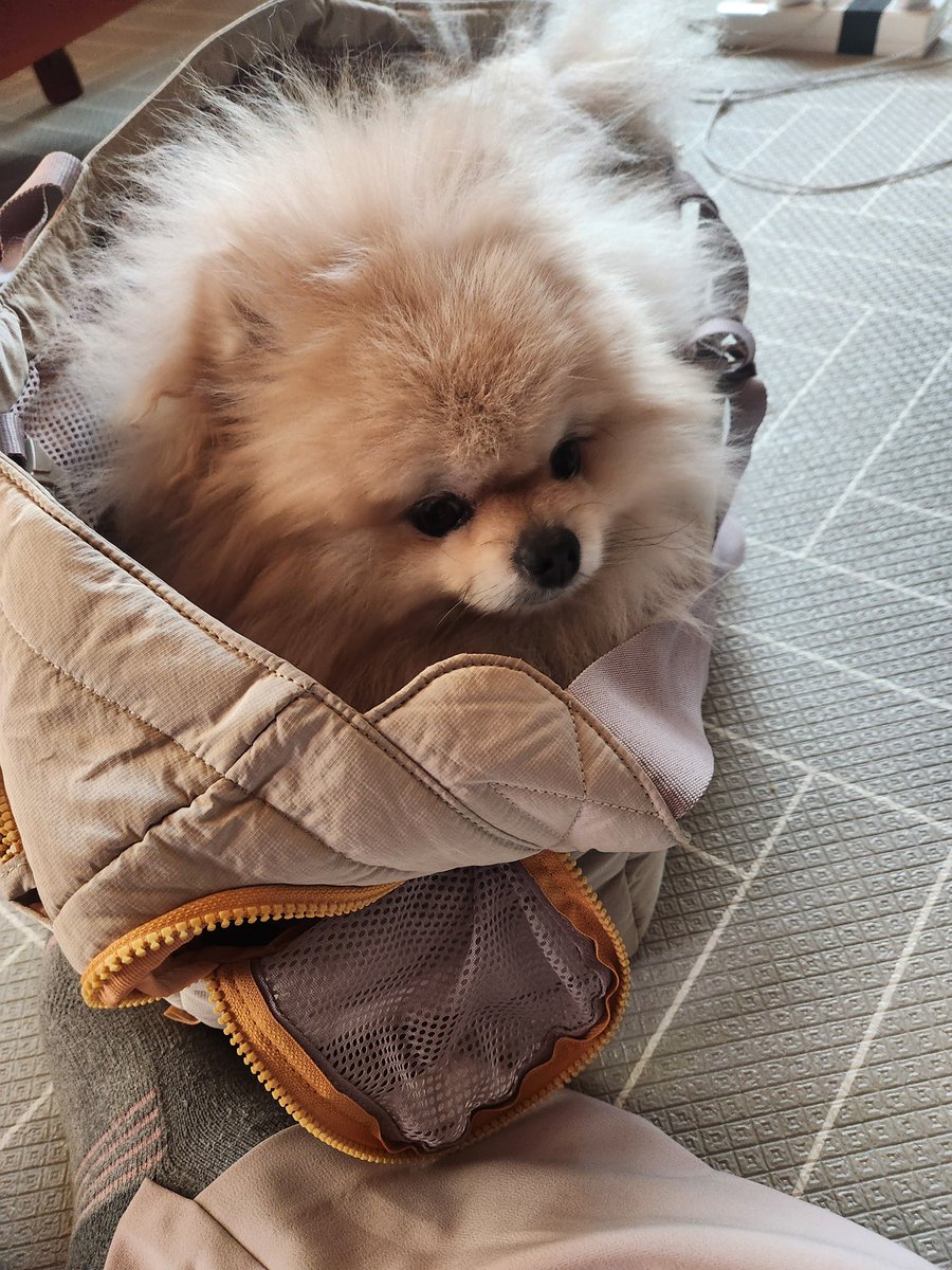chundukku's tweet photo. 세대를 잇는 “황금의 정신” https://t.co/zgHwVUxXRb