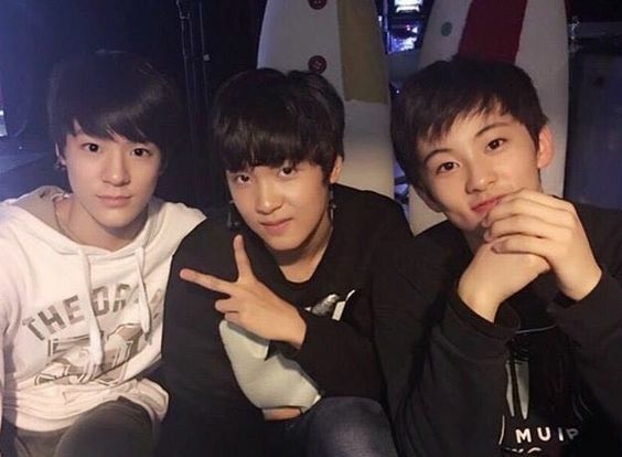 유채 tweet media