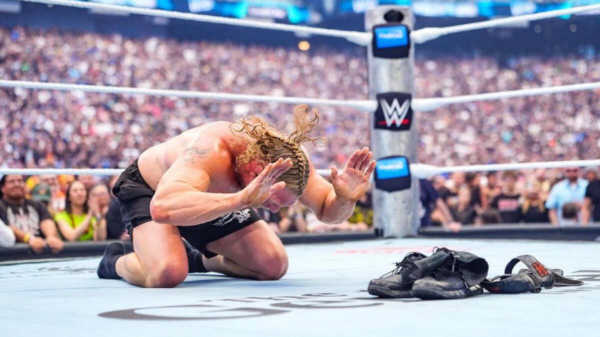 The Rise and Fall of WWE tweet media