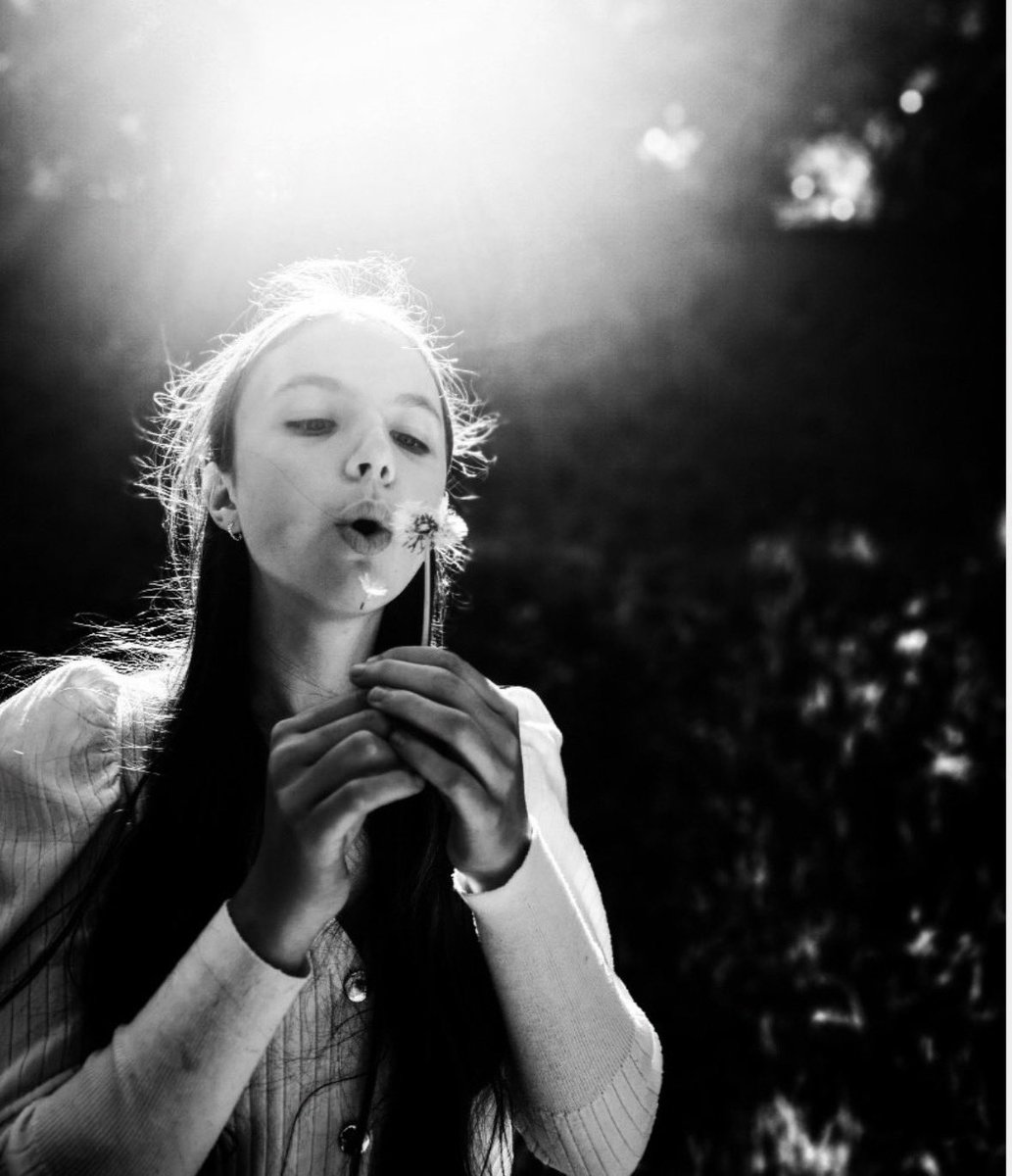 Gallery365photo tweet media