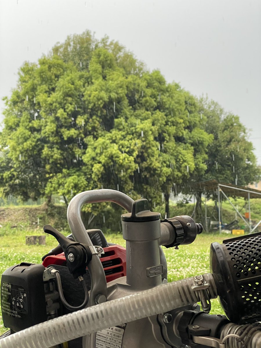 AgtivityYaita's tweet photo. 昨日の雨、恵み頂けるほど降らず畑カピカピ。晴天が続く予報でナスの根も活着しておらず流石にやばいと思いエンジンポンプをメインテしだしたらゲリラ豪雨。天気予報と雨雲レーダーあてにならない。ここまで降られると明日畑に入れない、キャンプ場の刈り払いでもするか。 https://t.co/3nW8iNSOex