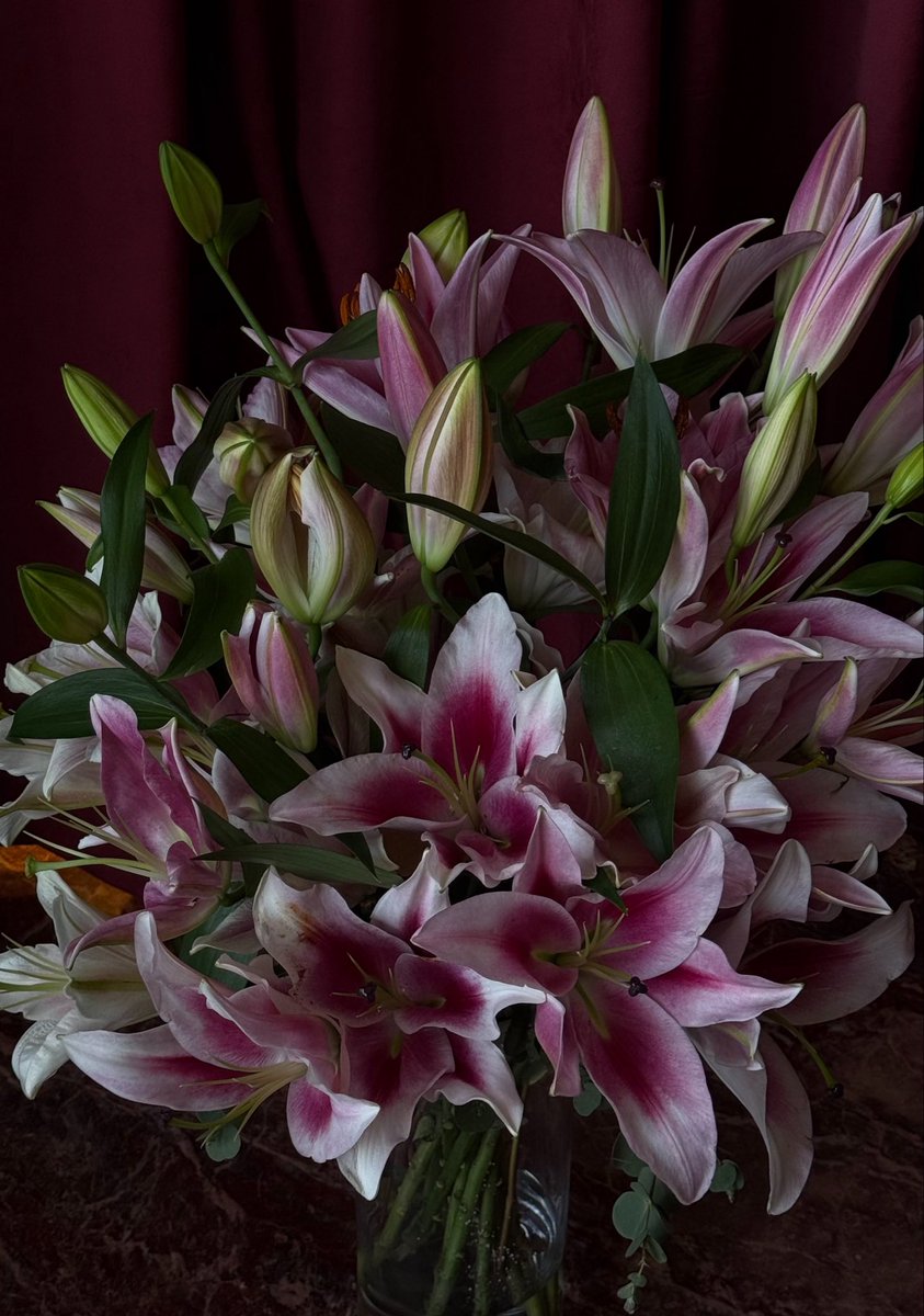 lbuttli's tweet photo. مؤخراً https://t.co/49hRrJ5EPZ