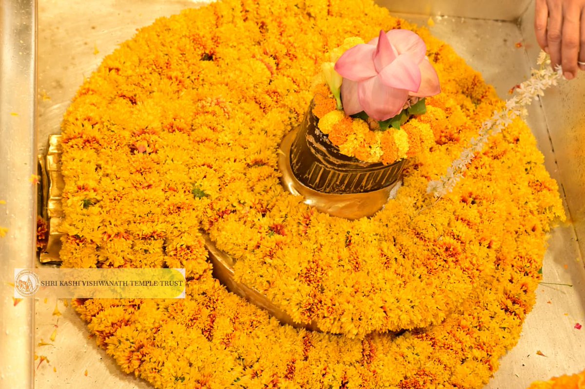 Shri Kashi Vishwanath Temple Trust tweet media