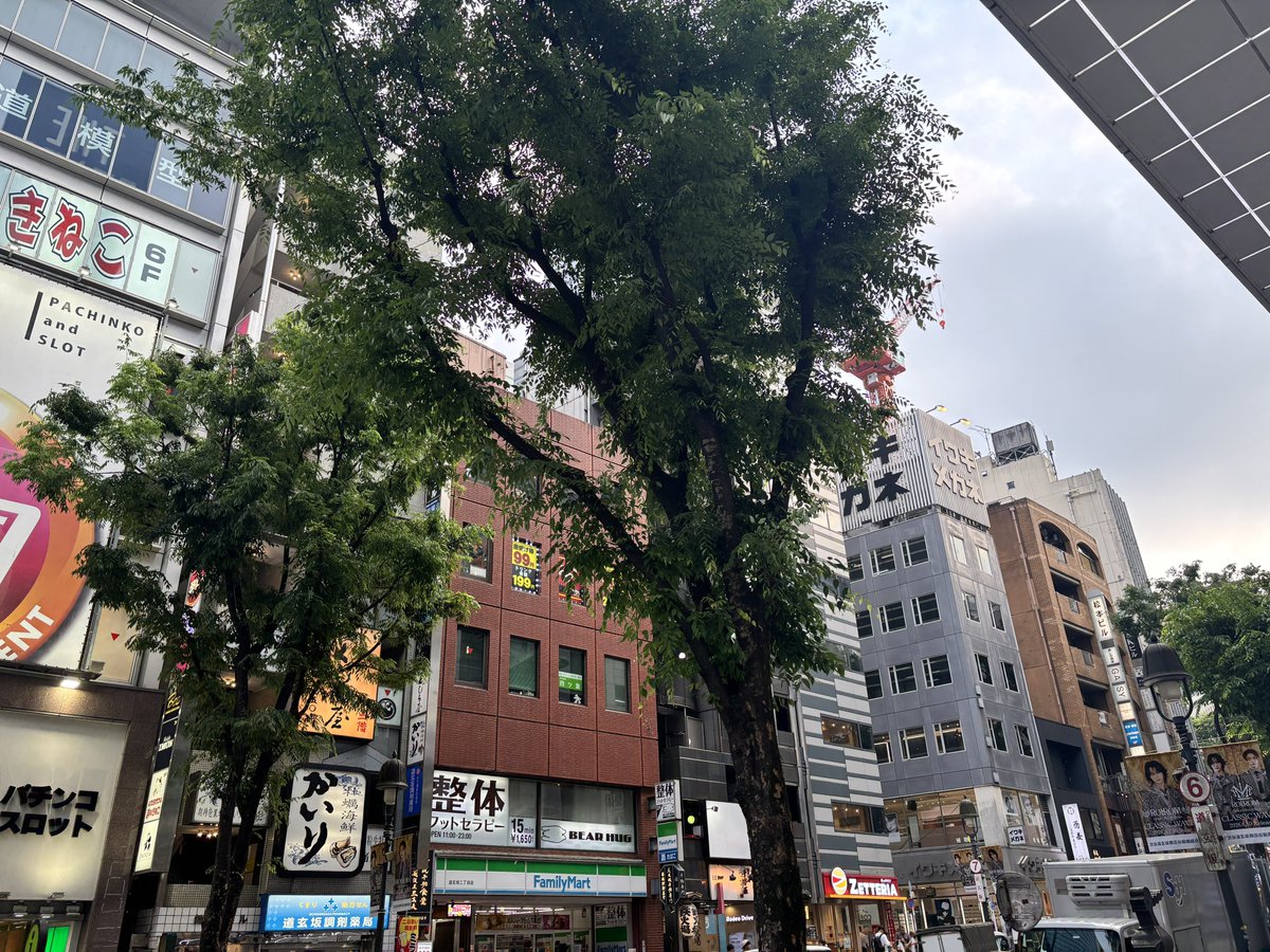 ねこにゃー (@nekonyanseven) / Posts / X