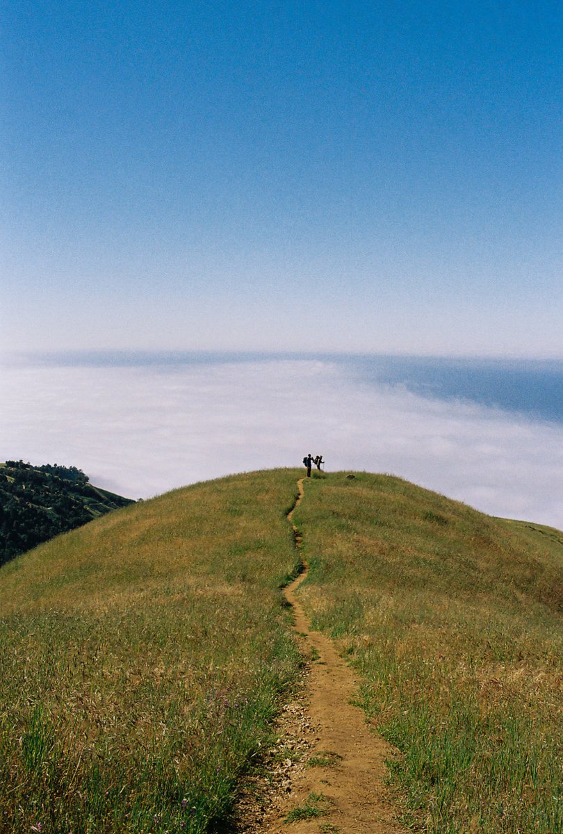 jocho0o's tweet photo. Big Sur — canon rebel T2 / Kodak Gold 200 https://t.co/mrkW3uFmL1