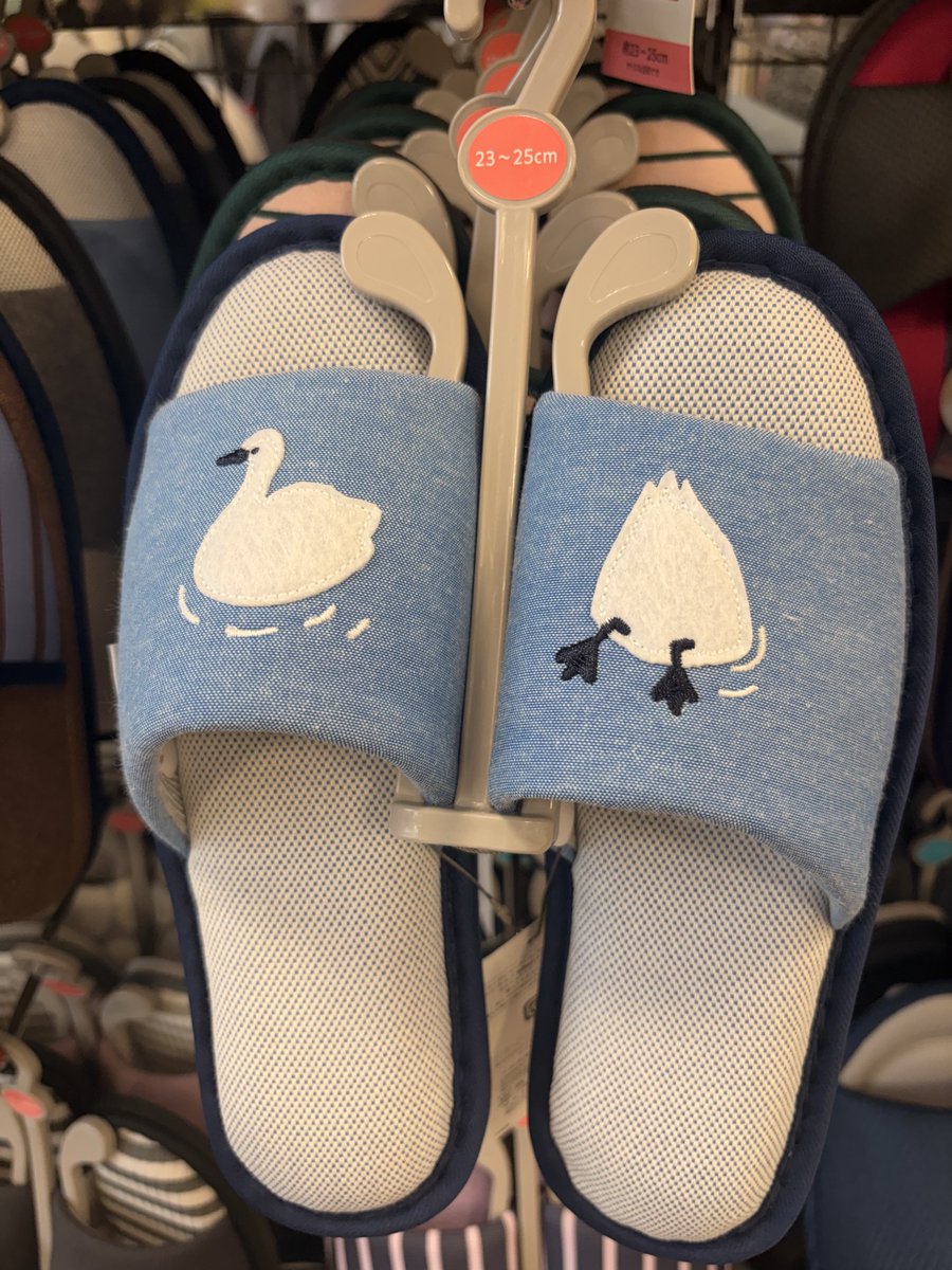 コッコ🐓名古屋コーチン♂ tweet media