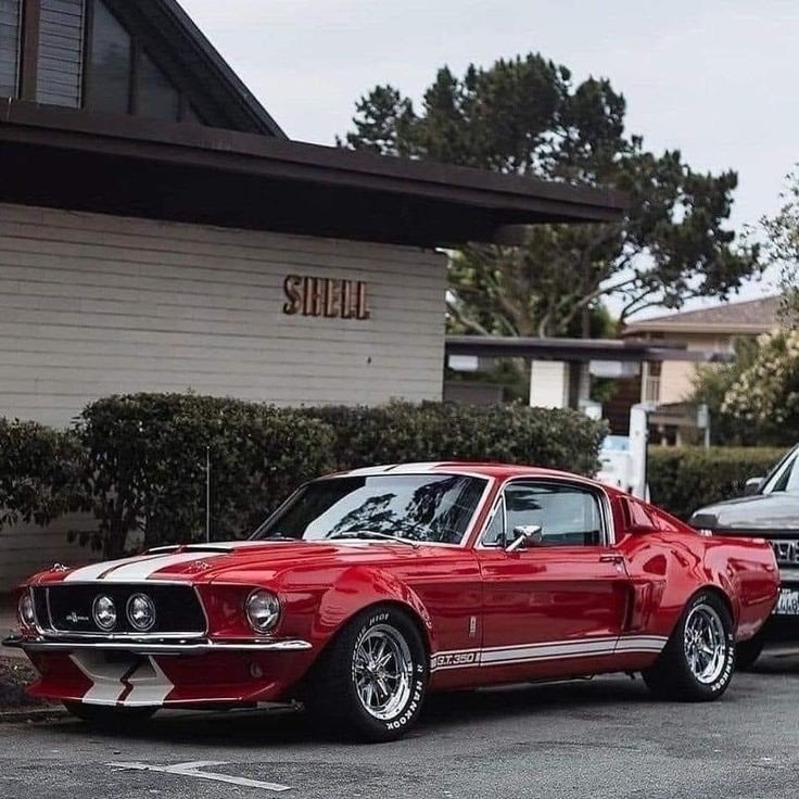 Vintage Cars Collection tweet media