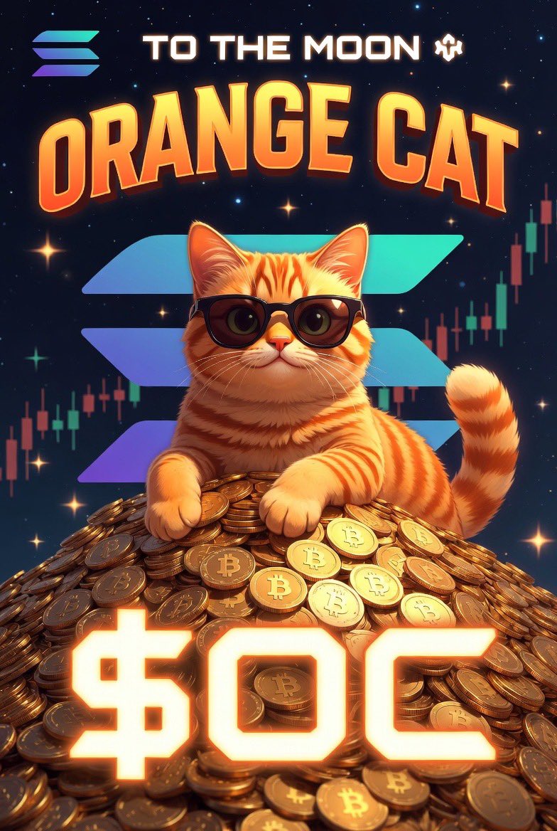 Orange Cat 🍊🐈 tweet media