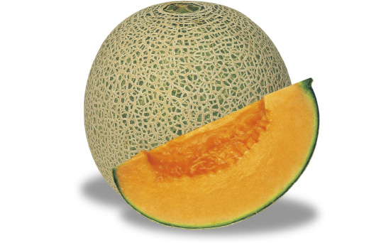 hollyhock_staff's tweet photo. #0516東京V戦「水戸ホーリーホック 道の駅」ブース情報更新‼️
https://t.co/3zUf8zgBwJ
今回は、赤肉が特徴であるレノンメロンを販売🍈
そのほか、前回販売時に大好評だった樹里のシフォンケーキや、ドロップファームのフルーツトマトをご用意🍅
ぜひお立ち寄りください😊
@GRASSROOTSFARM_
#水戸ホーリーホック