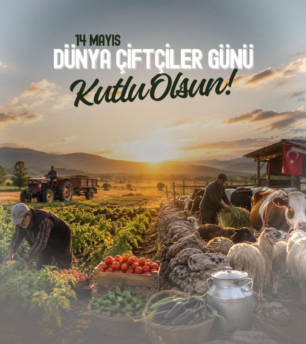 🇹🇷 Eren ARSLAN__✍️ tweet media